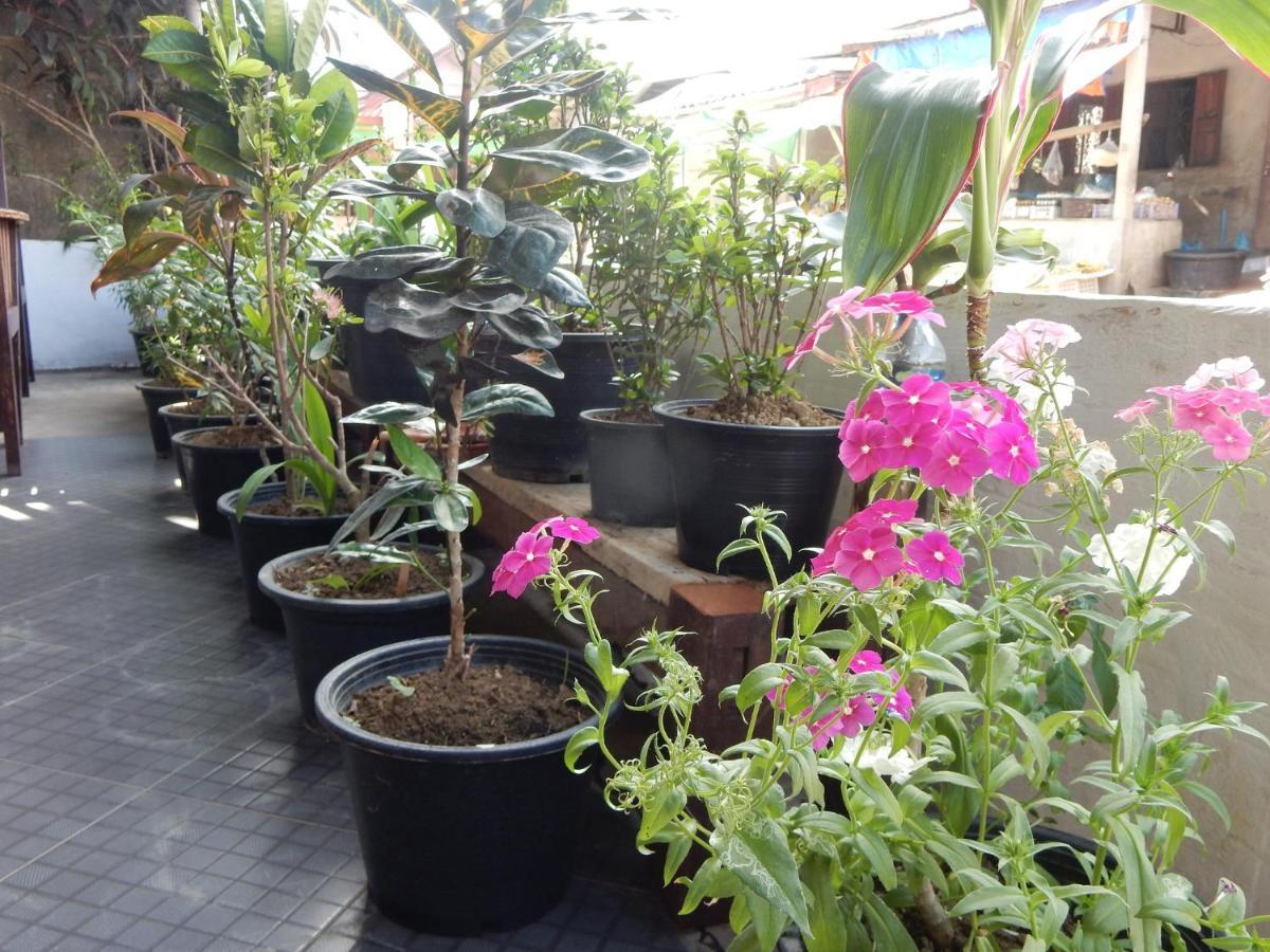 Vang Vieng Camellia Hotel Εξωτερικό φωτογραφία